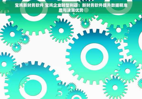 宝鸡新财务软件 宝鸡企业转型利器：新财务软件提升数据精准度与决策优势