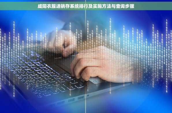 咸阳衣服进销存系统排行及实施方法与查询步骤