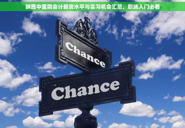 陕西中医院会计薪资水平与实习机会汇总，职场入门必看
