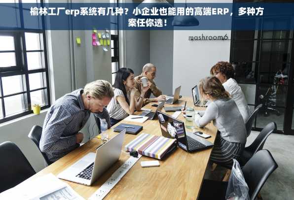 榆林工厂erp系统有几种？小企业也能用的高端ERP，多种方案任你选！