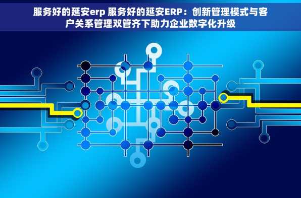 服务好的延安erp 服务好的延安ERP：创新管理模式与客户关系管理双管齐下助力企业数字化升级