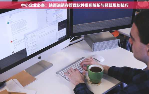 中小企业必备：陕西进销存管理软件费用解析与预算规划技巧