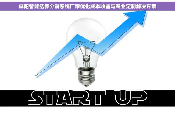 咸阳智能结算分销系统厂家优化成本收益与专业定制解决方案