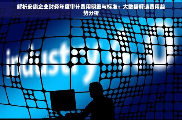 解析安康企业财务年度审计费用明细与标准：大数据解读费用趋势分析