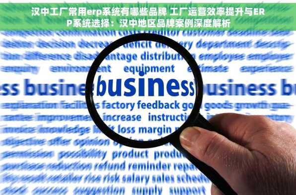 汉中工厂常用erp系统有哪些品牌 工厂运营效率提升与ERP系统选择：汉中地区品牌案例深度解析