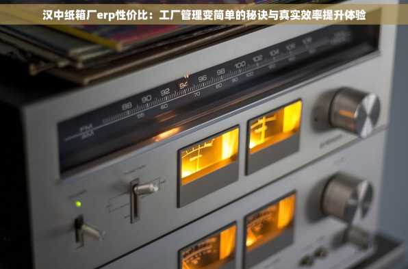 汉中纸箱厂erp性价比：工厂管理变简单的秘诀与真实效率提升体验