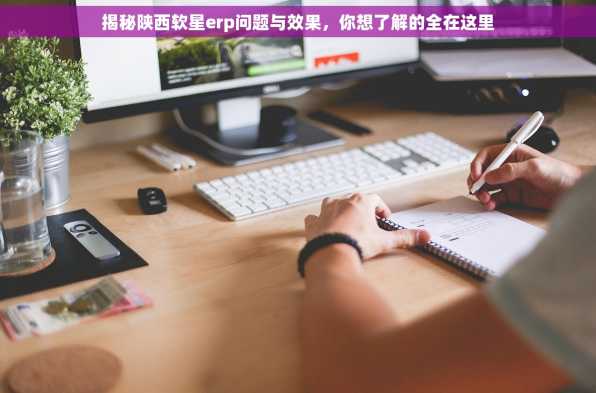 揭秘陕西软星erp问题与效果，你想了解的全在这里