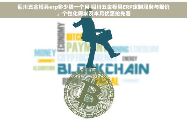 铜川五金模具erp多少钱一个月 铜川五金模具ERP定制服务与报价，个性化需求及本月优惠抢先看