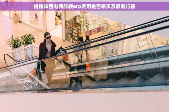 揭秘陕西电商服装erp费用是否昂贵及最新行情