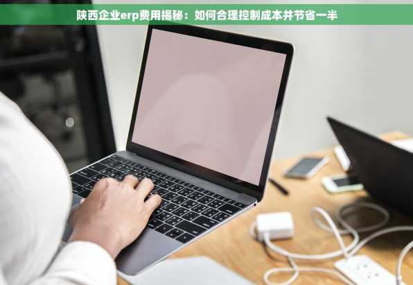 陕西企业erp费用揭秘：如何合理控制成本并节省一半