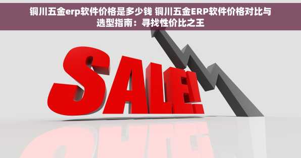 铜川五金erp软件价格是多少钱 铜川五金ERP软件价格对比与选型指南：寻找性价比之王