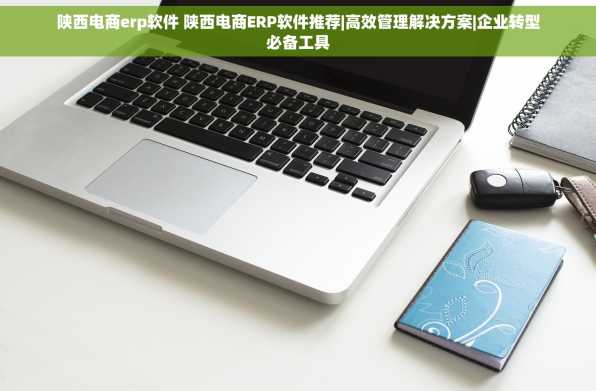陕西电商erp软件 陕西电商ERP软件推荐|高效管理解决方案|企业转型必备工具