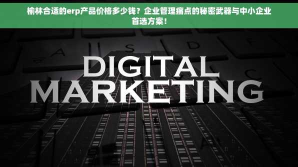 榆林合适的erp产品价格多少钱？企业管理痛点的秘密武器与中小企业首选方案！