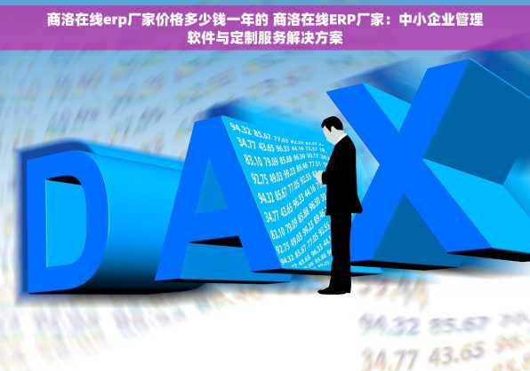 商洛在线erp厂家价格多少钱一年的 商洛在线ERP厂家：中小企业管理软件与定制服务解决方案