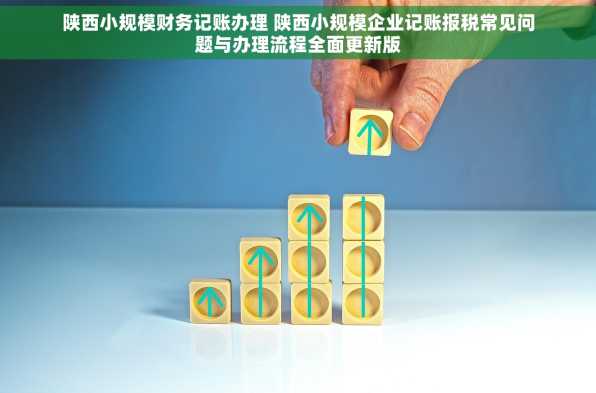陕西小规模财务记账办理 陕西小规模企业记账报税常见问题与办理流程全面更新版