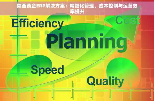 陕西药企ERP解决方案：精细化管理、成本控制与运营效率提升