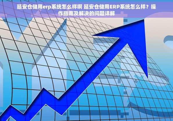 延安仓储用erp系统怎么样啊 延安仓储用ERP系统怎么样？操作指南及解决的问题详解