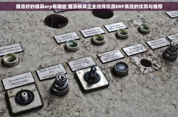 商洛好的模具erp有哪些 商洛模具企业选择优质ERP系统的优势与推荐