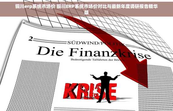 铜川erp系统市场价 铜川ERP系统市场价对比与最新年度调研报告精华版