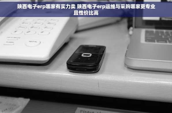 陕西电子erp哪家有实力卖 陕西电子erp运维与采购哪家更专业且性价比高