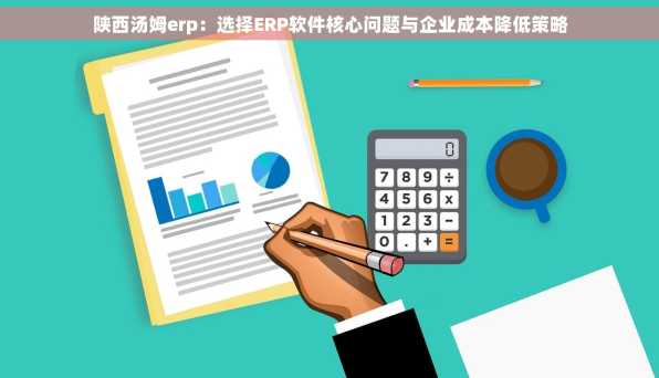 陕西汤姆erp：选择ERP软件核心问题与企业成本降低策略
