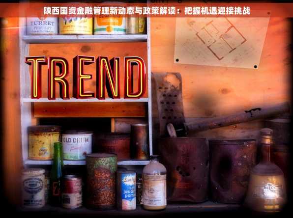 陕西国资金融管理新动态与政策解读：把握机遇迎接挑战