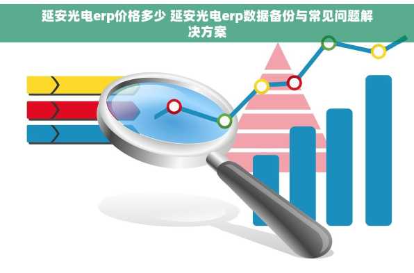 延安光电erp价格多少 延安光电erp数据备份与常见问题解决方案