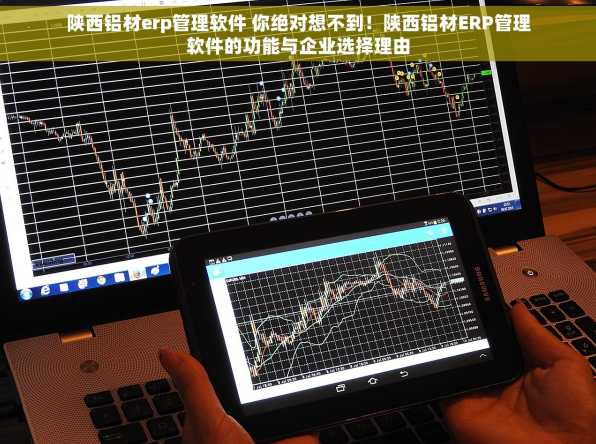 陕西铝材erp管理软件 你绝对想不到！陕西铝材ERP管理软件的功能与企业选择理由