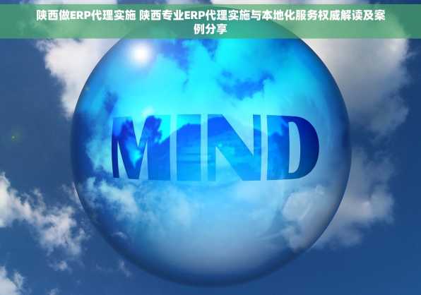 陕西做ERP代理实施 陕西专业ERP代理实施与本地化服务权威解读及案例分享
