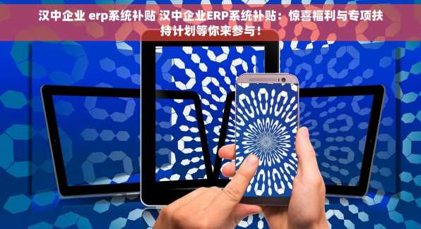 汉中企业 erp系统补贴 汉中企业ERP系统补贴：惊喜福利与专项扶持计划等你来参与！