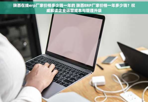 陕西在线erp厂家价格多少钱一年的 陕西ERP厂家价格一年多少钱？权威解读企业运营成本与管理升级