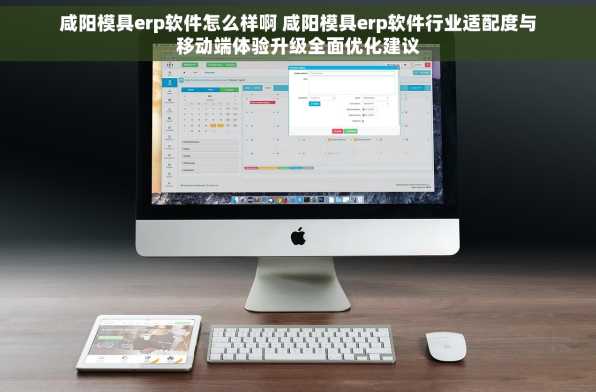 咸阳模具erp软件怎么样啊 咸阳模具erp软件行业适配度与移动端体验升级全面优化建议