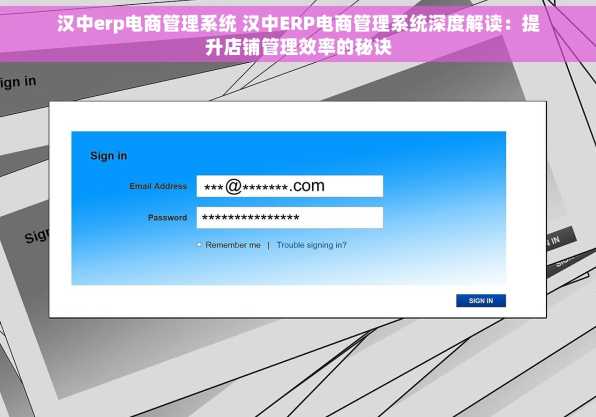 汉中erp电商管理系统 汉中ERP电商管理系统深度解读：提升店铺管理效率的秘诀