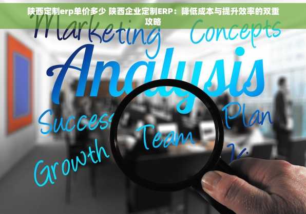 陕西定制erp单价多少 陕西企业定制ERP：降低成本与提升效率的双重攻略