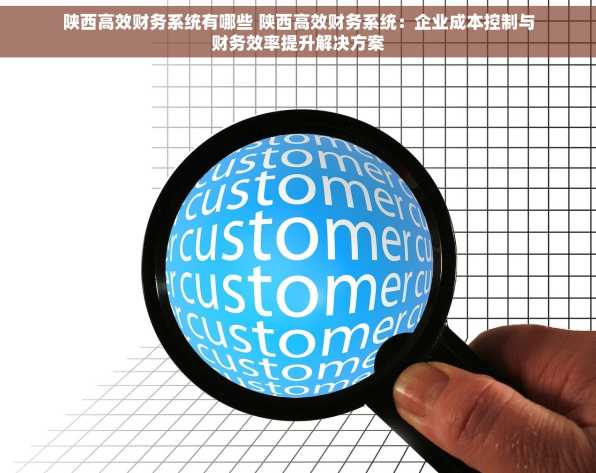 陕西高效财务系统有哪些 陕西高效财务系统：企业成本控制与财务效率提升解决方案