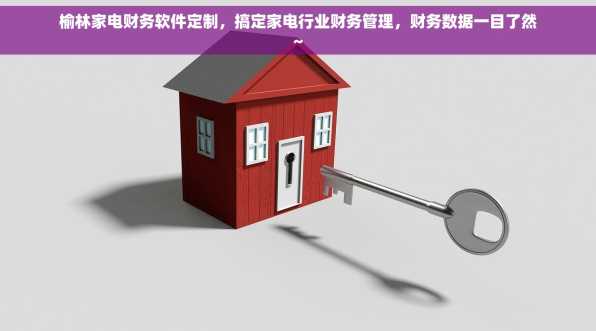 榆林家电财务软件定制，搞定家电行业财务管理，财务数据一目了然~
