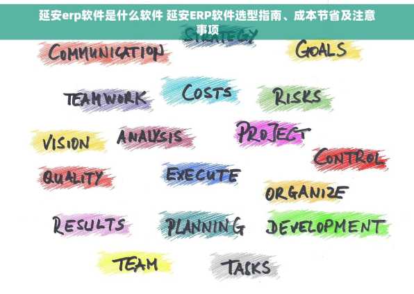 延安erp软件是什么软件 延安ERP软件选型指南、成本节省及注意事项