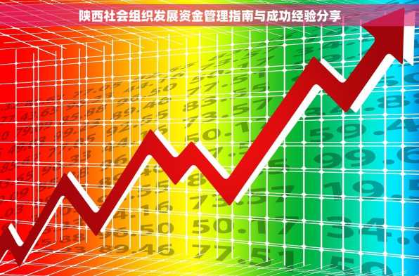 陕西社会组织发展资金管理指南与成功经验分享