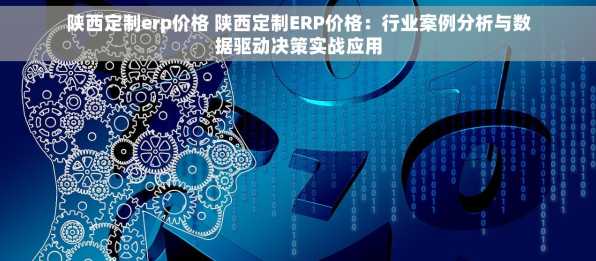 陕西定制erp价格 陕西定制ERP价格：行业案例分析与数据驱动决策实战应用