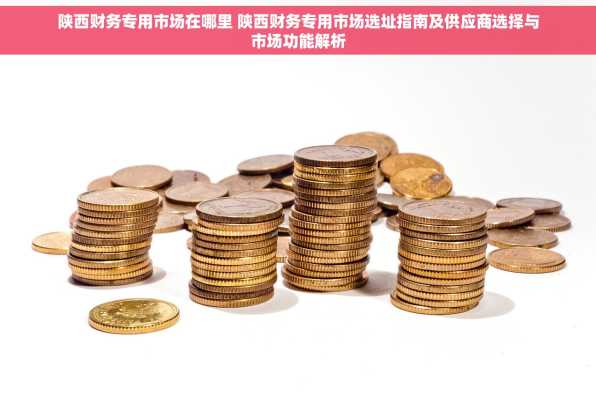 陕西财务专用市场在哪里 陕西财务专用市场选址指南及供应商选择与市场功能解析