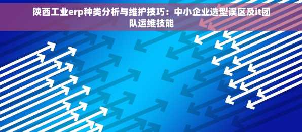陕西工业erp种类分析与维护技巧：中小企业选型误区及it团队运维技能