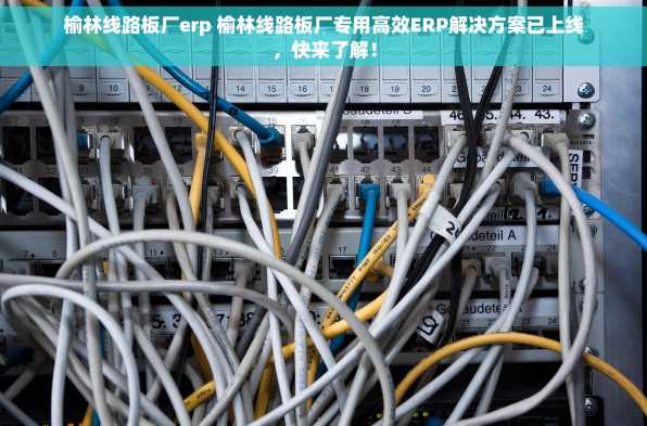 榆林线路板厂erp 榆林线路板厂专用高效ERP解决方案已上线，快来了解！