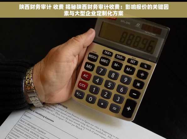 陕西财务审计 收费 揭秘陕西财务审计收费：影响报价的关键因素与大型企业定制化方案