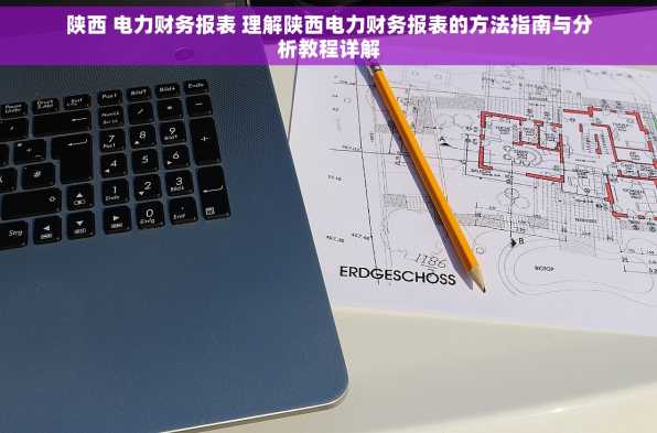 陕西 电力财务报表 理解陕西电力财务报表的方法指南与分析教程详解
