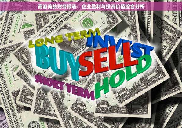 商洛美的财务报表：企业盈利与投资价值综合分析