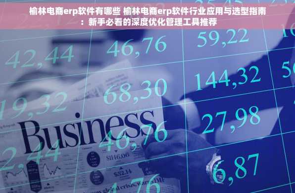 榆林电商erp软件有哪些 榆林电商erp软件行业应用与选型指南：新手必看的深度优化管理工具推荐