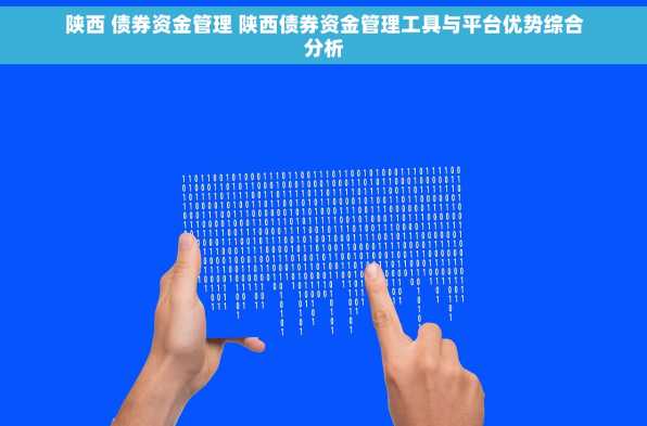陕西 债券资金管理 陕西债券资金管理工具与平台优势综合分析