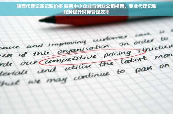 陕西代理记账记账价格 陕西中小企业与创业公司福音，专业代理记账服务提升财务管理效率