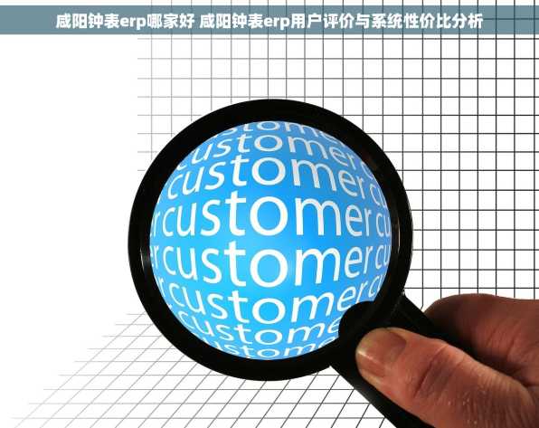 咸阳钟表erp哪家好 咸阳钟表erp用户评价与系统性价比分析