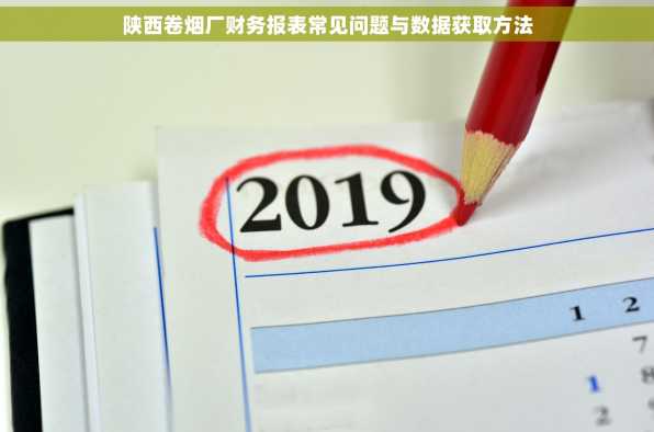 陕西卷烟厂财务报表常见问题与数据获取方法